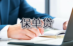 鸡西保单贷